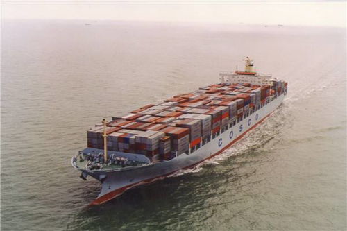 廣州倉儲服務(wù) 現(xiàn)代化物流樞紐的核心支撐